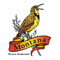Montana copy t-shirts