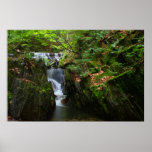 Montaña del este de Berkshires de la garganta geme Posters