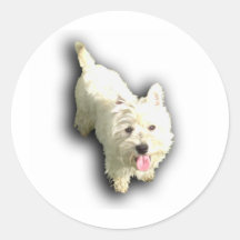 Montaña del oeste Terrier Etiqueta Redonda