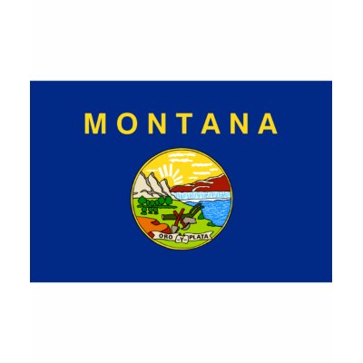 Montana FLAG International Shirt by flagshirt