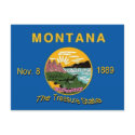 Montana Flag Postcard by deesbasenjis Montana Flag Postcard