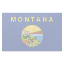 Montana Flag stationery