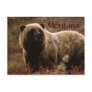 Montana grizzly bear postcard