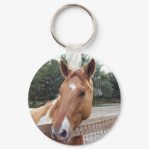 montana keychains by gibbybeth montana keychains