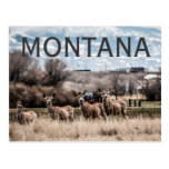 MONTANA POST CARD