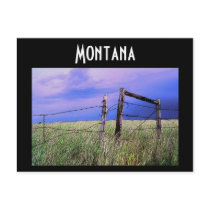 Montana Postcard