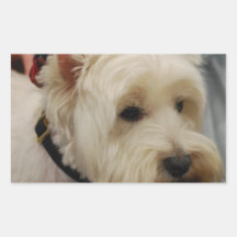 Montaña Terrier blanco del oeste Pegatina