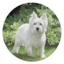 Montaña Terrier blanco del oeste Platos Para Fiestas