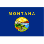 Montana, United States flag Photo Sculpture