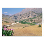 Montañas turcas, flores de Siverek Tarjetón