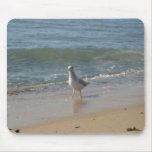 Montauk beach seagull love mouse pad