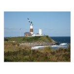MONTAUK Lighthouse Seagull Love Post Cards