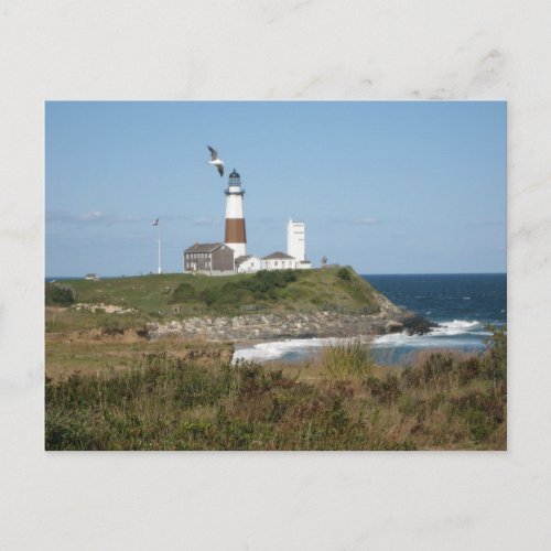 MONTAUK Lighthouse Seagull Love postcard