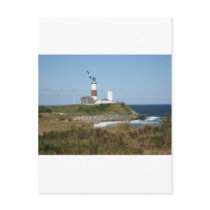MONTAUK Lighthouse Seagull Love Post Card