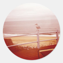 Montauk Seagull Love 3.0 Sticker