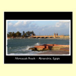 Montazah Beach - Egypt Postcard postcards