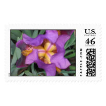 Montclair Iris postage by LaurelRidge Montclair Iris postage