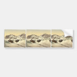 Monte Rosa, Lyskamm, with Gorner Glacier, Valais, Bumper Stickers