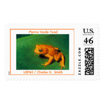 Monte Verde Toad Postage Stamp