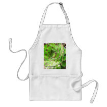 Montepulciano Vino Nobile, Italy aprons