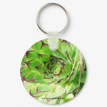 Montepulciano Vino Nobile, Italy keychains