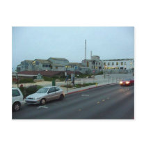 Monterey Aquarium postcards by lifesphere Monterey Aquarium postcards