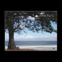 Monterey Bay, Ca. Postcard by SunrisePhotos Monterey Bay, Ca. Postcard