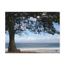 Monterey Bay, Ca. Postcard