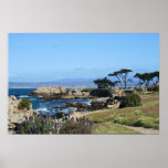 Monterey Bay Coastline, Spring Photo Print