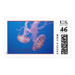 monterey bay stamps
