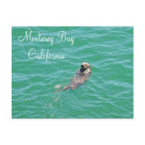 Monterey Bay Sea Otter Postcard