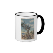 Monterey, CA - Old Witch Tree on 17 Mile Mugs
