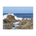 Monterey, CA postcards