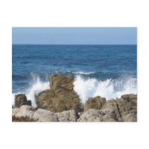 Monterey, CA postcards by supermuper Monterey, CA postcards