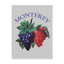 Monterey California Grapes postcards