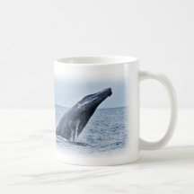 Monterey California Humpback Whale Mug