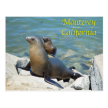 Monterey California Postcard