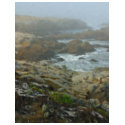 Monterey Fog Big Sur California 2 Painted t-shirts