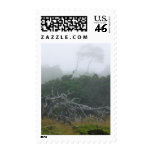 Monterey Fog Postage