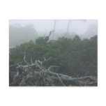 Monterey Fog Postcard