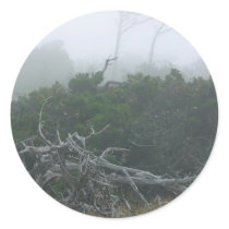 Monterey Fog stickers