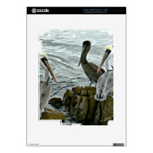 Monterey Pelicans Skins For iPad 2