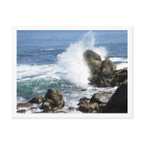 Monterey postcards by bombay1536 Monterey postcards