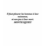 Montesquieu pleurer les gens crying for people t-shirts