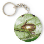 Monteverde, Costa Rica Keychains