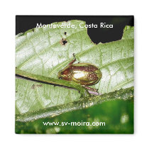 Monteverde, Costa Rica magnets by lshickzazzle Monteverde, Costa Rica magnets