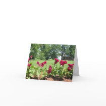 Monticello Garden Notecard