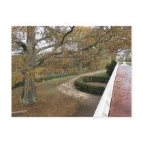 Monticello in the Fall postcards