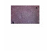 Ladies Baby Doll (Fitted)