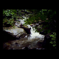 Montreat, North Carolina posters